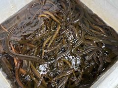 -盘龙黄鳝(盘龙居店)