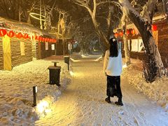 -大鹅岛绿色生态美食园