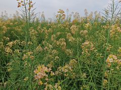 -中国天府农业博览园