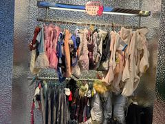 -主子在上·精致洗护·精品购宠连锁(杨浦黑钻店)