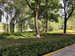 -西安汉城湖景区