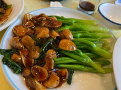 -新侨小馆(东直门北小街店)