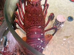 -强记海鲜·大排档(蛇口新街店)