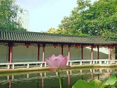 -龚家花园农家乐休闲别墅