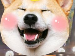 -信不信由你博物馆