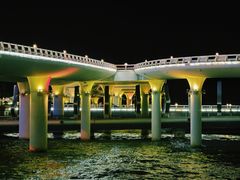 -演武大桥观景平台