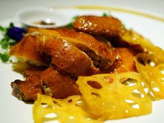 -金轩中餐厅 Jin Xuan(浦东丽思卡尔顿酒店)