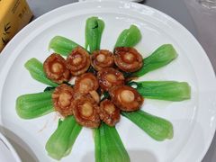 -燕春楼(海河华鼎店)