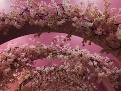 -胡桃里音乐酒馆(环亚凯瑟琳广场店)
