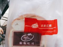 -苹果花园(枫林路店)