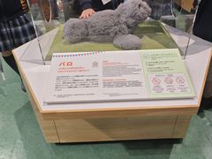 -日本科学未来馆
