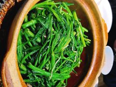 -熠盛粤味·顺德桑拿鸡(永康路店)