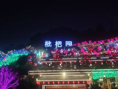 -枇杷园食为鲜火锅(南山店)