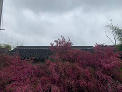 -吴门人家·苏宴宫廷菜(拙政园店)
