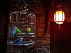 -鱼桥巷·美学川菜