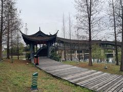 -眉山湿地公园(东坡区)