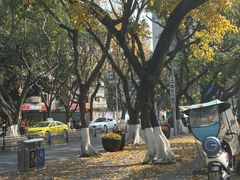 -龙湖重庆时代天街