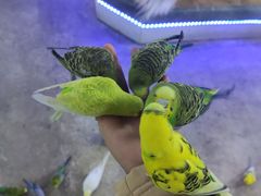 -弘阳·未来世界(弘阳广场店)