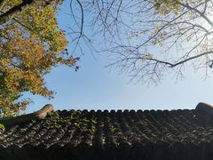 -杭州半山国家森林公园