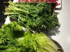 -食潮汕头鲜牛馆(望京保利店)
