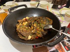 -开海·红岛海鲜虾水饺(石老人店)