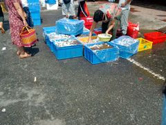 -霞涌市场海鲜摆卖区