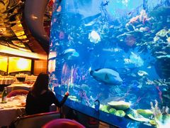 -迪拜帆船酒店海底餐厅