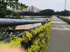 -金银湖国家城市湿地公园