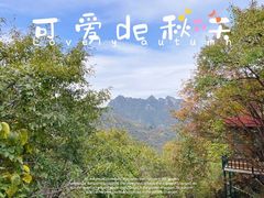 -秦岭终南山世界地质公园翠华山景区
