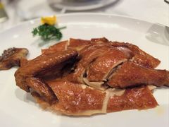 -金苑海鲜酒家(来魅力店)