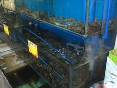 -蚝专家(北滘店)