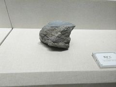 -辽宁古生物博物馆