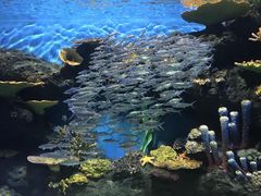 -华夏文旅海洋公园
