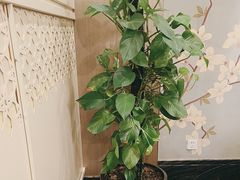 -高老庄新家宴(北斗星广场店)