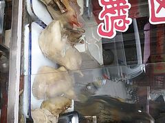 -达记卤菜店(红庙店)
