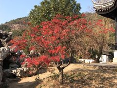 -灵岩山风景区