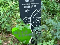 -九龙潭景区