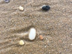 -烟墩角天鹅湖