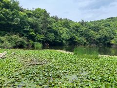-天目湖山水园