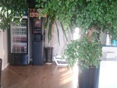 -东方名猫馆·英短金渐层布偶猫舍(环线广场1号楼店)