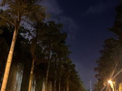 -重庆海昌加勒比海水世界