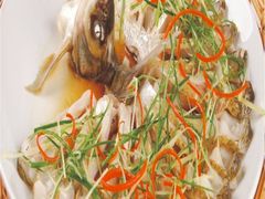 开屏武昌鱼-洛邑九州·九州面莊