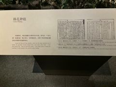 -嘉定博物馆