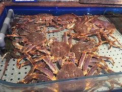 -开海·红岛海鲜虾水饺(石老人店)