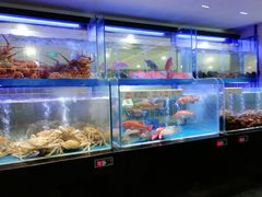 -南海渔村(珠江新城店)