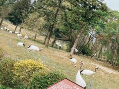 -沈阳森林动物园