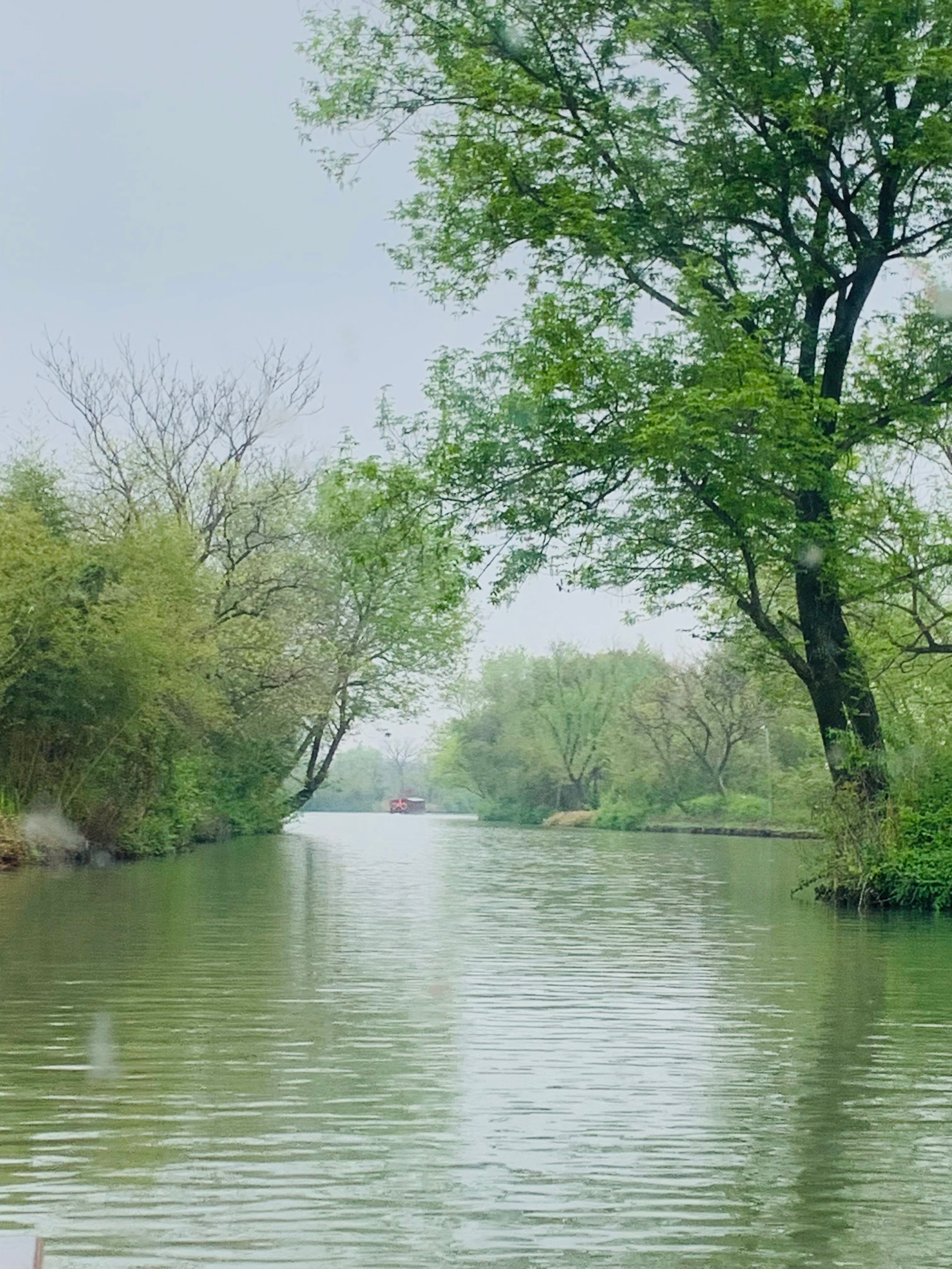 西溪湿地 风景图片图片