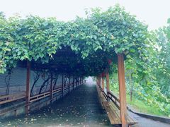 -长安上水缘度假庄园