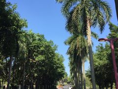 -佛山祈福仙湖酒店