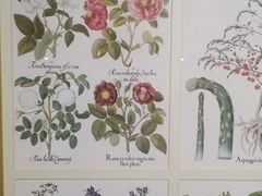 -上海汾阳花园酒店